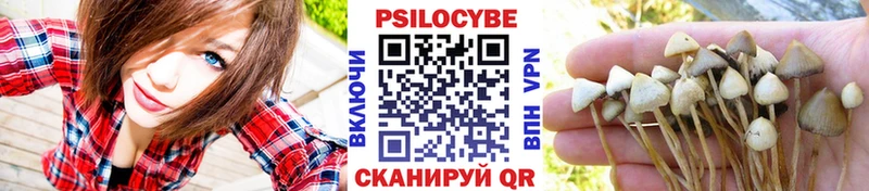Галлюциногенные грибы мицелий  blacksprut   Сортавала  где можно купить  